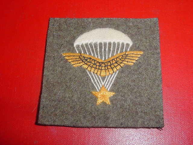 WW2 FRENCH 1ST RCP R.C.P. PARACHUTE BADGE FRANCE LIBRE