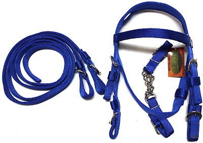 blue poly nylon pony size bridle horse tack 