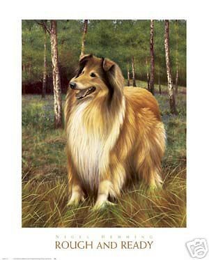 shetland sheep dog print rough ready nigel hemming time left