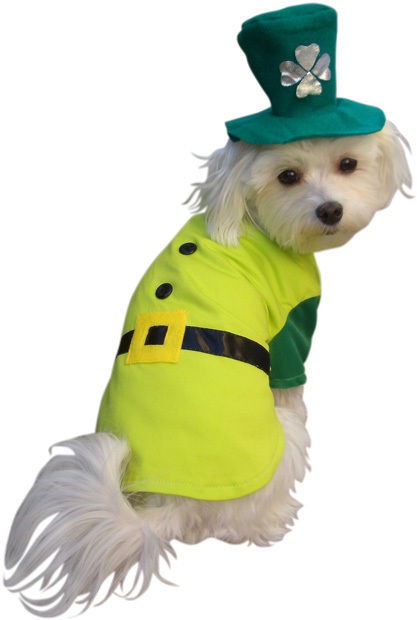 st patricks day leprechaun boy dog halloween costume sm one