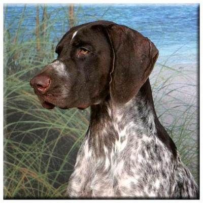 german shorthair pointer tile  14 95 buy