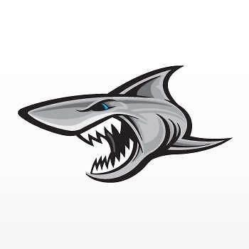 Decal Sticker Shark Smile Boat Motorbike Car window Surfing Jetski 