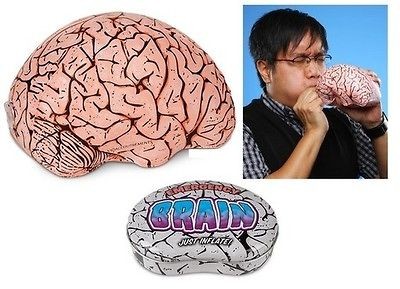 Emergency Inflatable Brain in Tin Joke Gag Gift Blonde Joke Science 