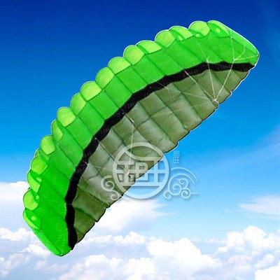 5m kite 2 Line green Stunt Parafoil POWER Sport Kite Outdoor Toys 