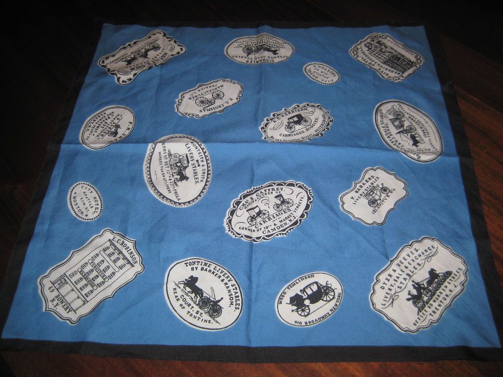 Beautiful Scarf Horse Carriage Transportation History Blue Black White