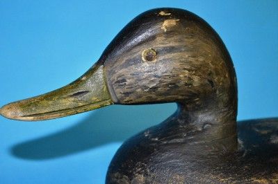 Black Duck Decoy Chincoteague Ira Hudson 1876 1949