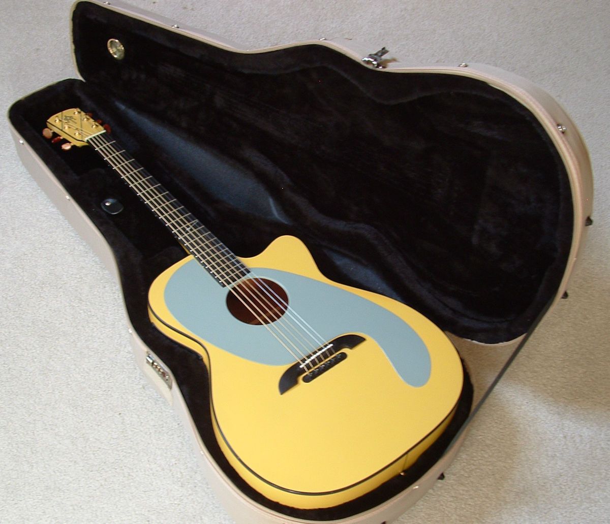 Alvarez Yairi ADY1 Ani DiFranco Signature Acoustic Electric w Case 