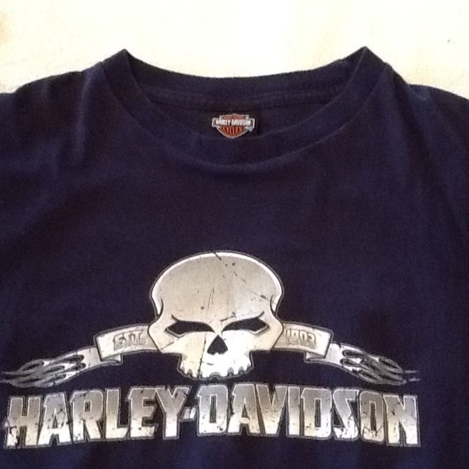   Large Tee Shirt T Skull Superstition Arizona Apache Junction