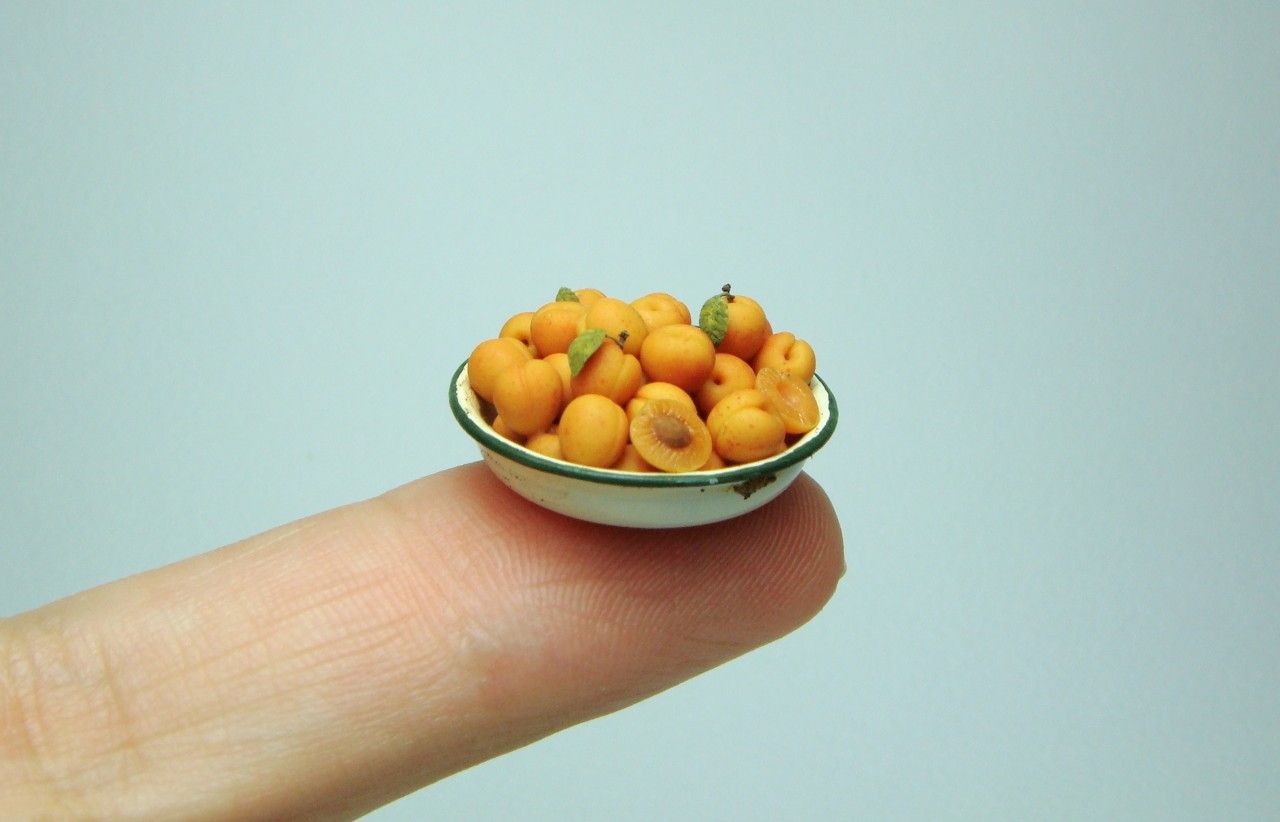 company of apricots resting in an enamel aged bowl all of the apricots 