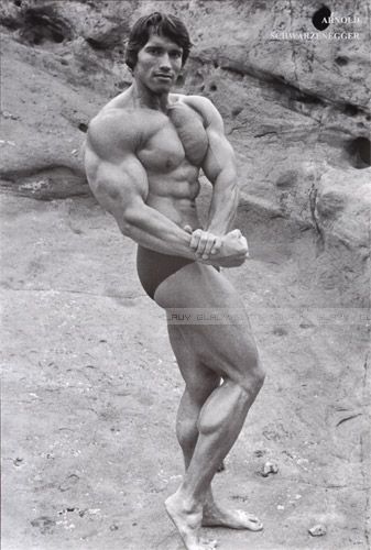 Arnold Schwazenegger Body Builder J1811 Poster 60x90 In