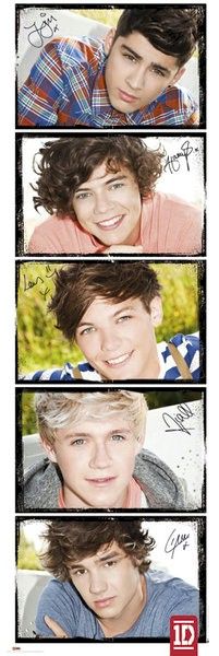 Niall Horan, Zayn Malik, Liam Payne, Harry Styles and Louis Tomlinson