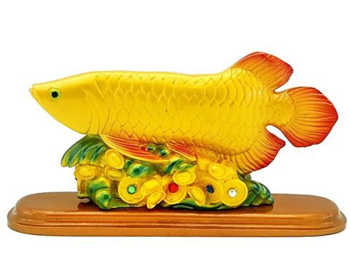 3034_golden_arowana_1