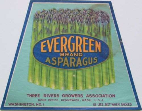 Evergreen Asparagus Vintage Crate Label Kennewick WA