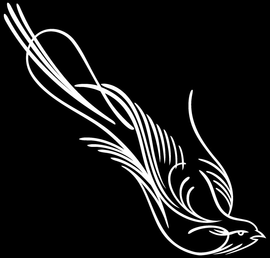 Vinyl Pinstripe Pinstriping Decal Sticker Graphic Birds