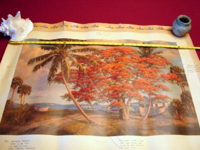 Backus Florida Art Original Un Framed Proof Print w Notations by 