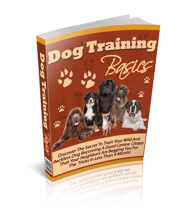 Teach Your Dog To Be A Good Canine Friend Is Easier And More 