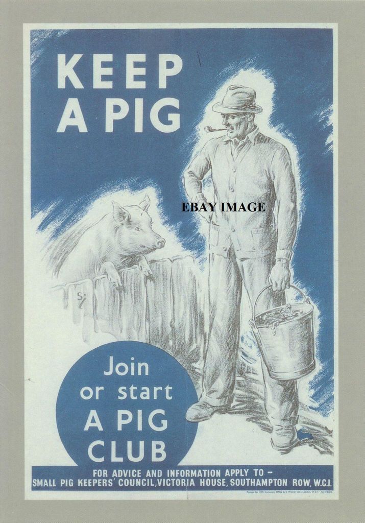 French poster vintage Animal PIG farm plate educational classroom 