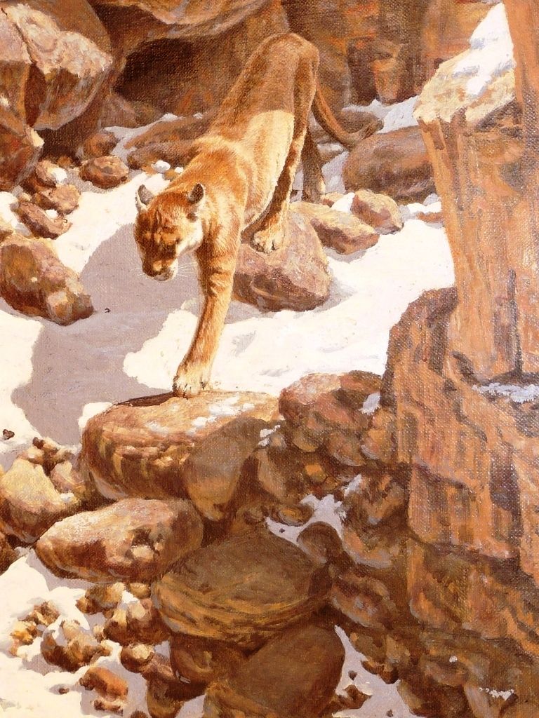John Seerey Lester 1945 American Canyon Trail Cougar Original Oil 