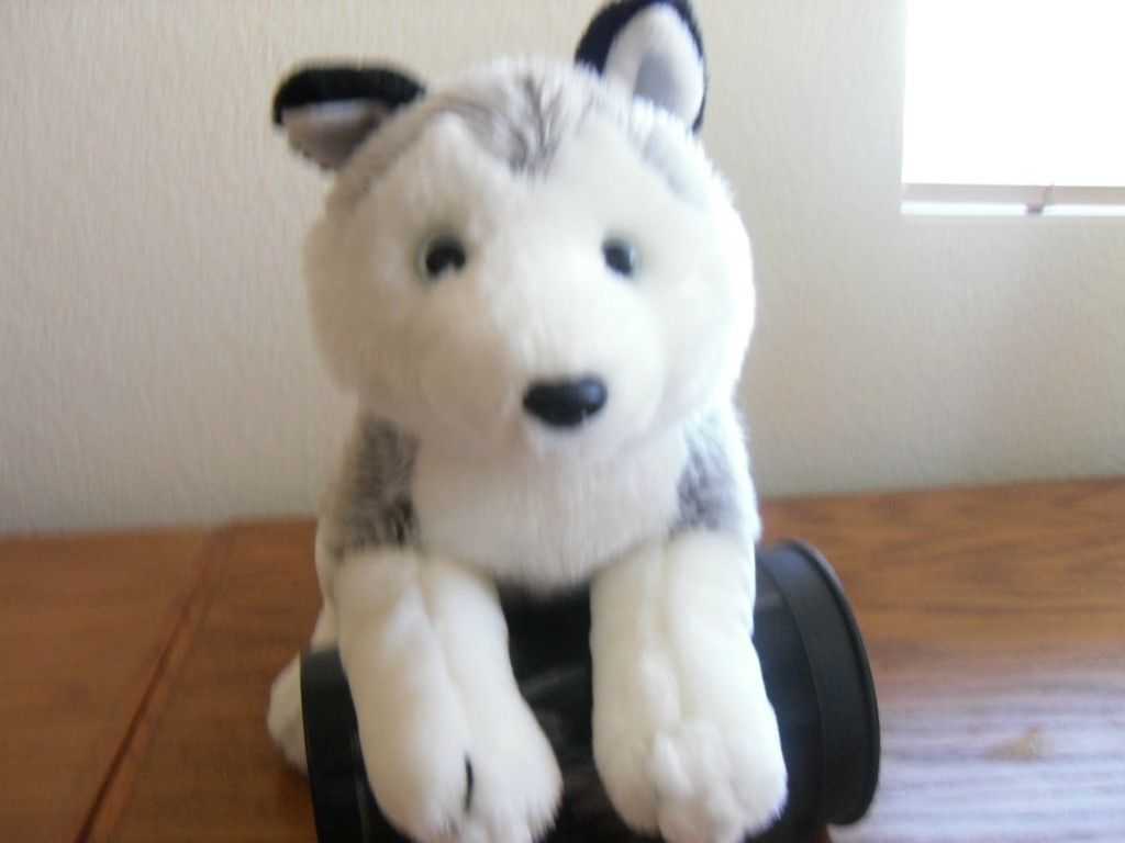 Gray White Husky Stuffed Dog Animal Alley Toy