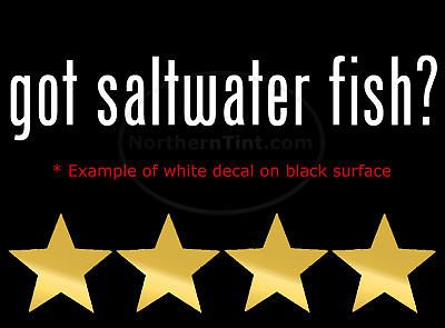 got saltwater fish vinyl wall art car decal sticker more