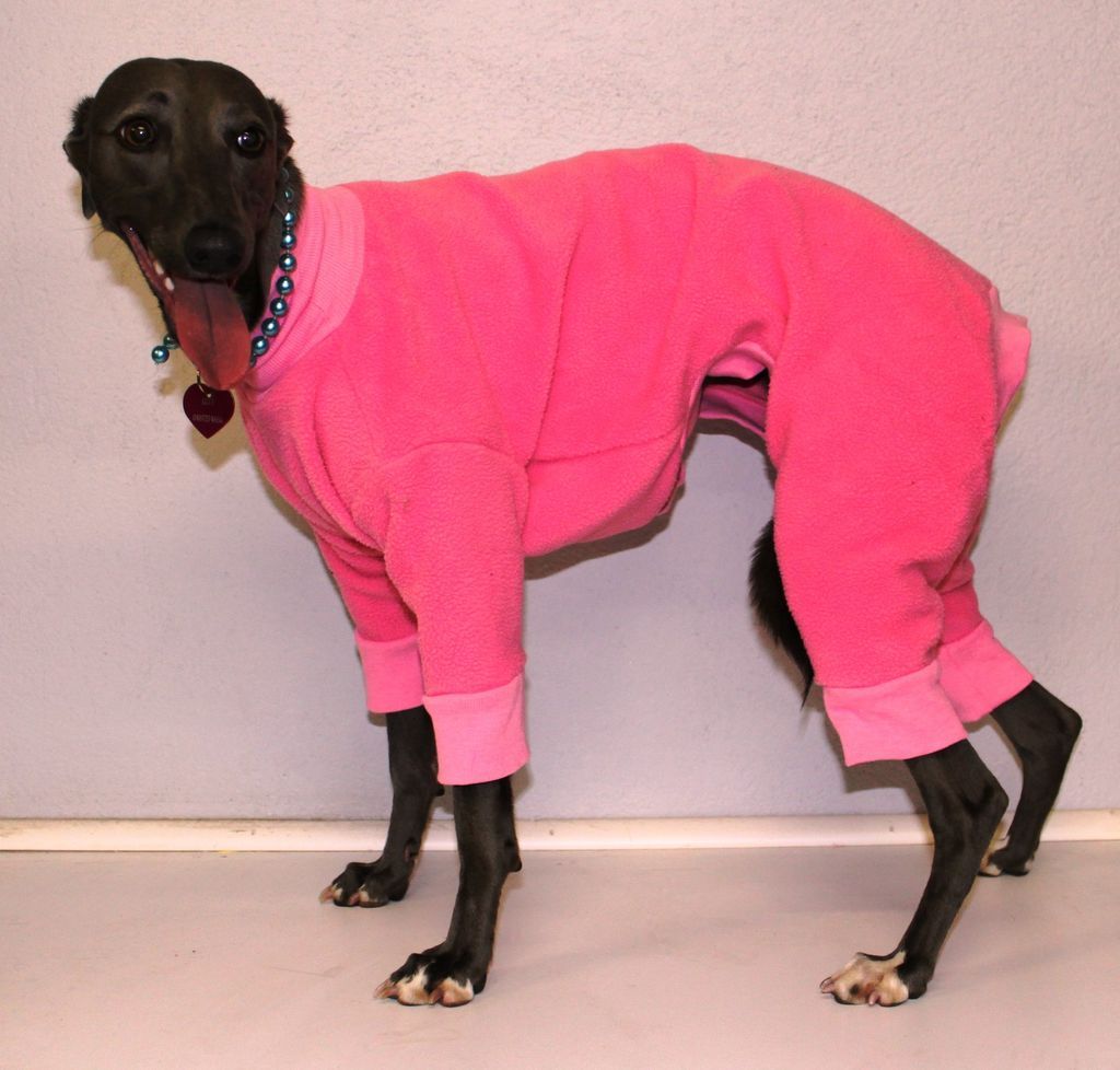 whippet dog coat pyjamas pink from australia 