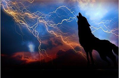 Wolf Lightning Camper RV motorhome mural vinyl graphic decal