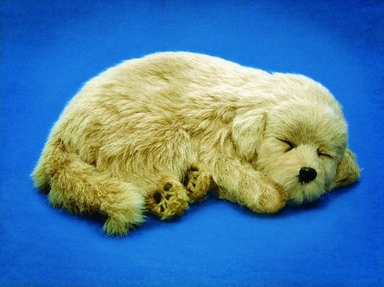 11 GOLDEN RETRIEVER Dog Puppy Stuffed Sleeping Breathing Toy
