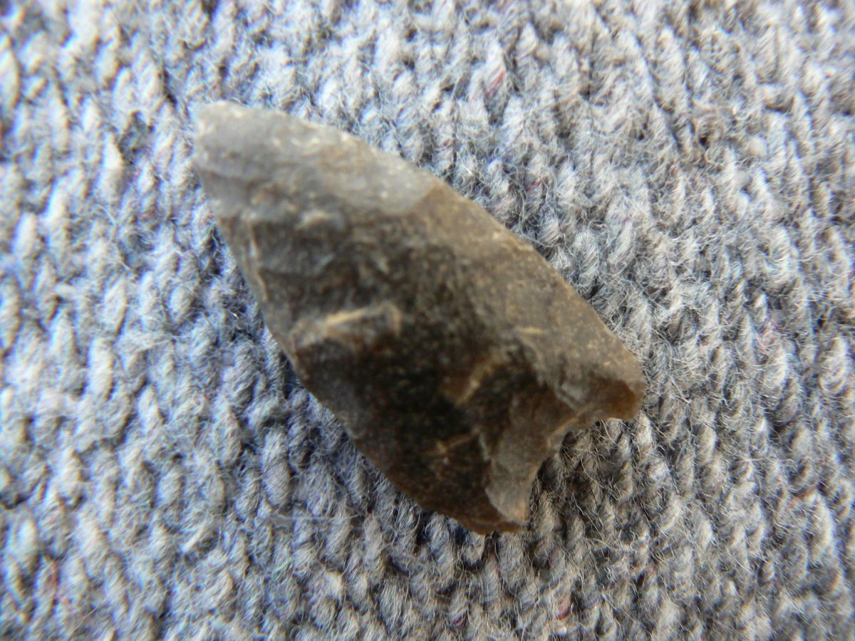 BERKS CO., PENNSYLVANIA HOLCOMBE PALEO ARROWHEAD, AUTHENTIC INDIAN 