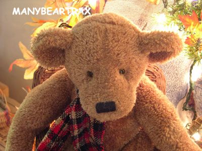 Boyds ~  only~ BEEZER B GOODLEBEAR ~ big 16 bear hears everything