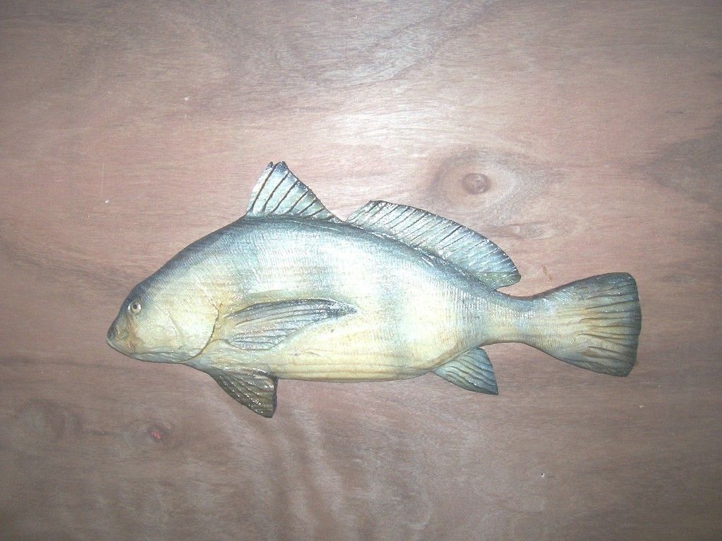 Chainsaw Carving Black Drum Carved Sportfish Gulf of Mexico Decoy Fish 