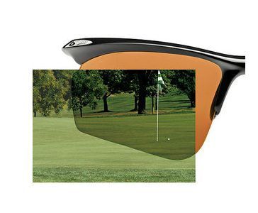 Bolle Vigilante with Eaglevision Lens Sunglasses