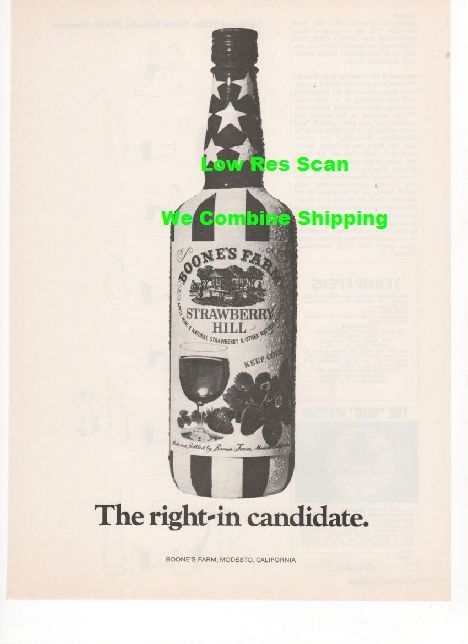 Boones Farm Strawberry Hill Wine Patriotic Bottle Picture Print 1972 