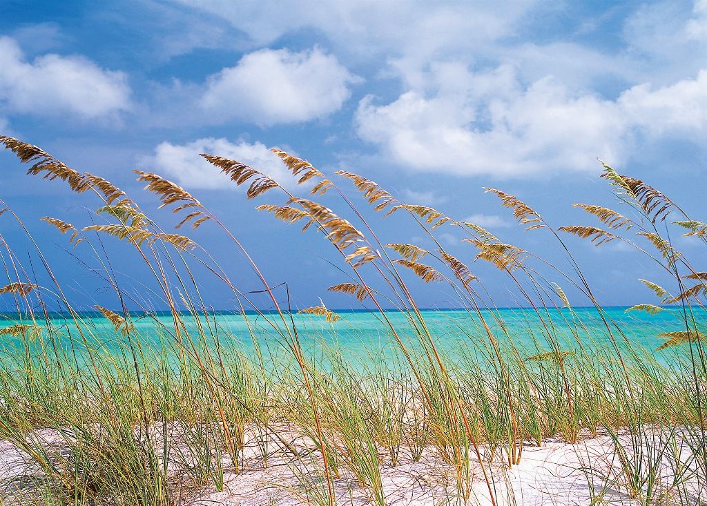 Nat Geo Ocean Breeze Sand Beach Wallpaper Photo Mural