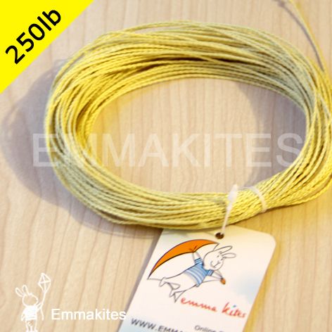   100 ft of 250 lb Braided Kevlar Line Fishing Camping Kite