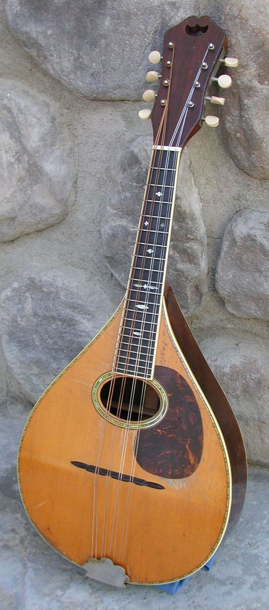  Lovely 1931 C F Martin Style C Mandolin