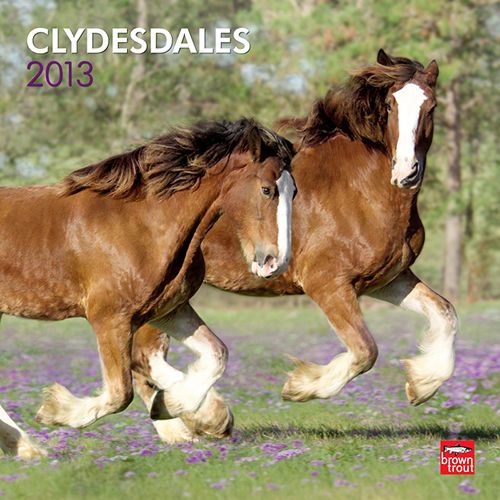 Clydesdales 2013 Wall Calendar