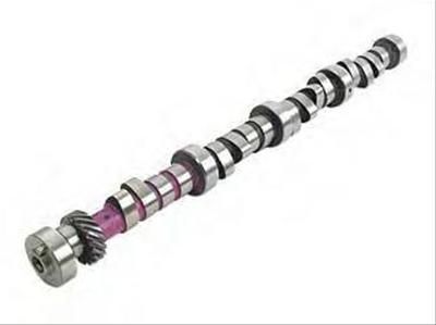 Mopar Performance Purple Camshaft Kit 4120231AC