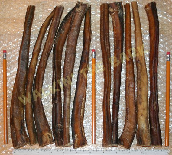 50 12 Thick Jumbo Bully Sticks Dog Treats Free SHIP