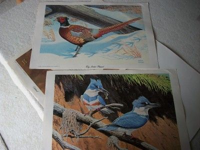 Lot 8 Native Birds 1968 Charles Chuck Ripper Lithograph Art Eagle 