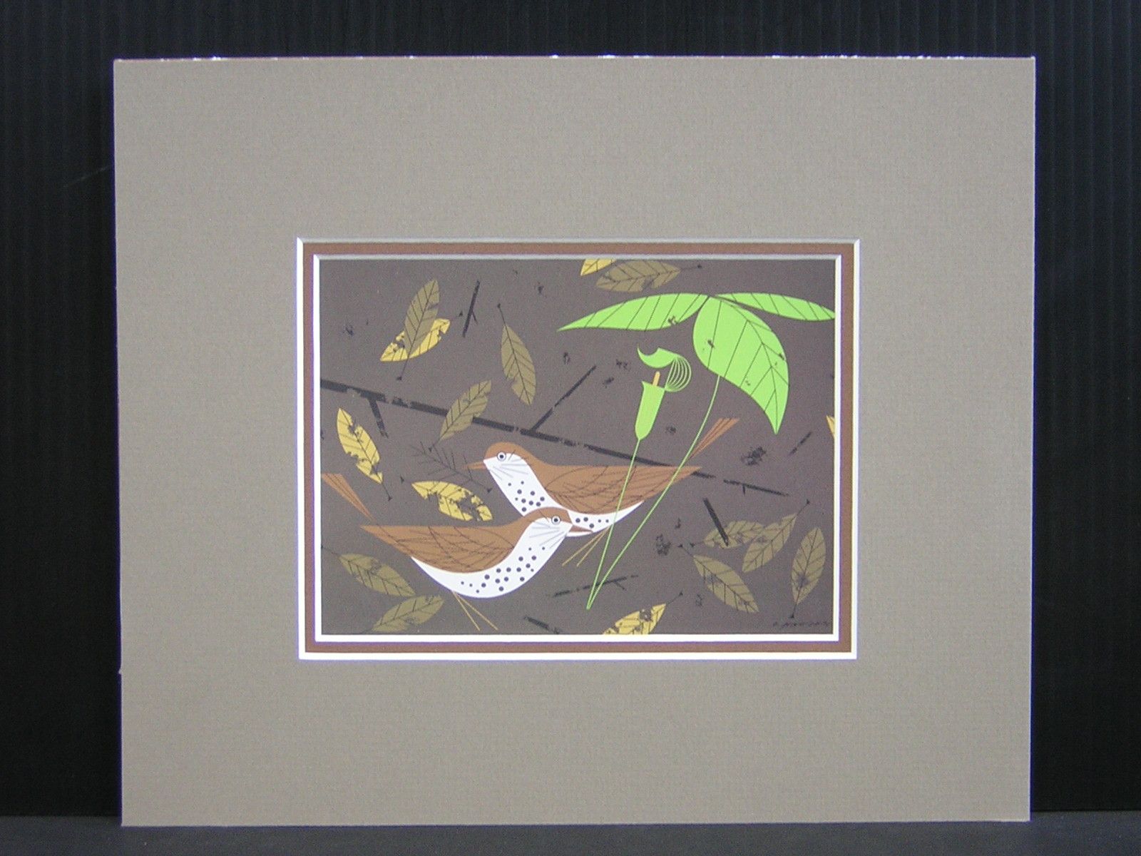 Charles Harper Wood Thrush Ford Times Matted Art Card
