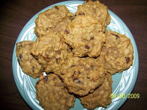 24 Homemade Pumpkin Chocolate Chip Cookies So Good