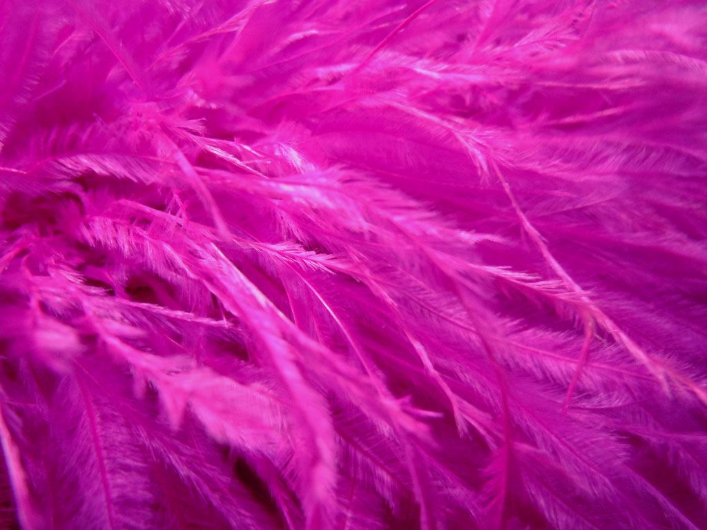 F107 per Feet Fuschia Ostrich Feather Fringe Trim Brooch Fascinator