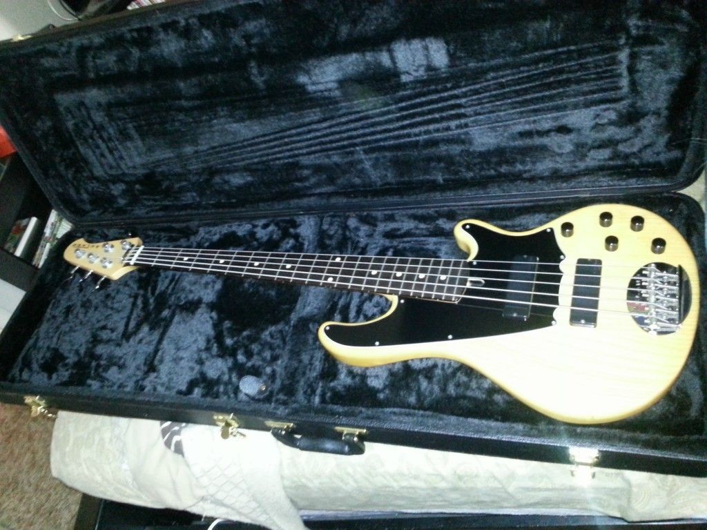  Lakland 5 String Bass