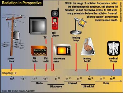 cell phone dangers what they don t want you to