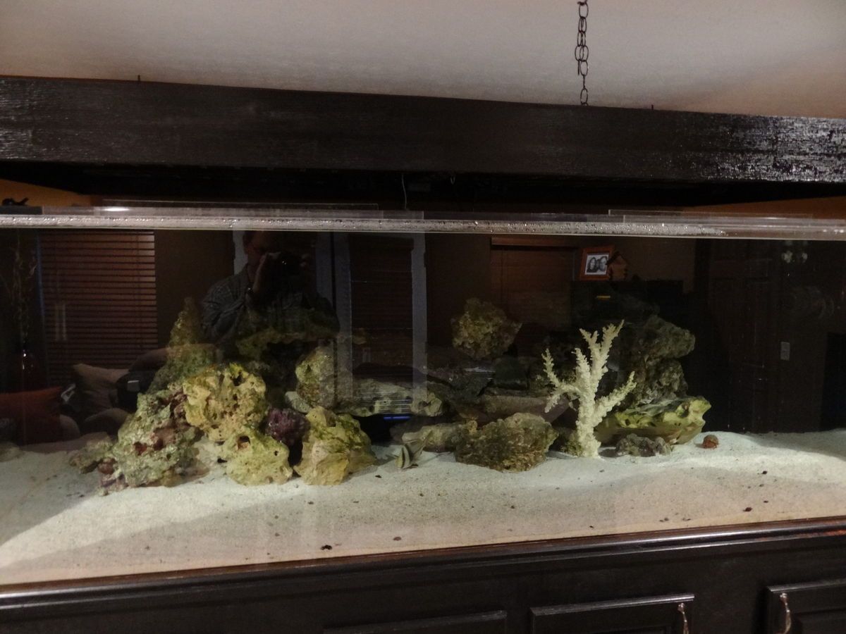 600 gallon acrylic aquarium w/ custom stand and LED light fixture