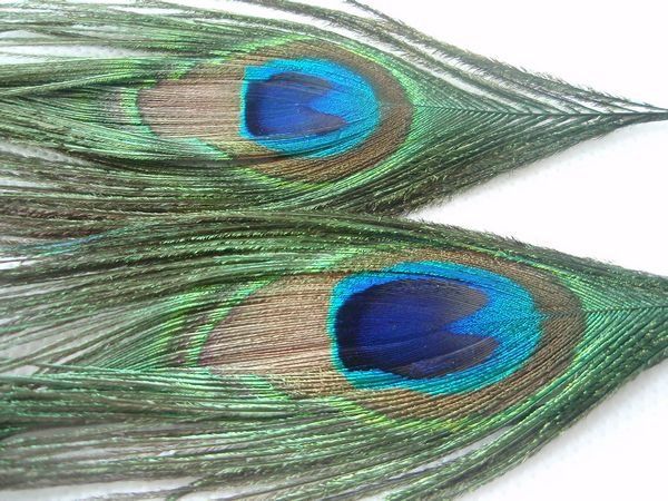 Pendientes Tibetanos Plumas Naturales Pavo Real Largos Con Gancho