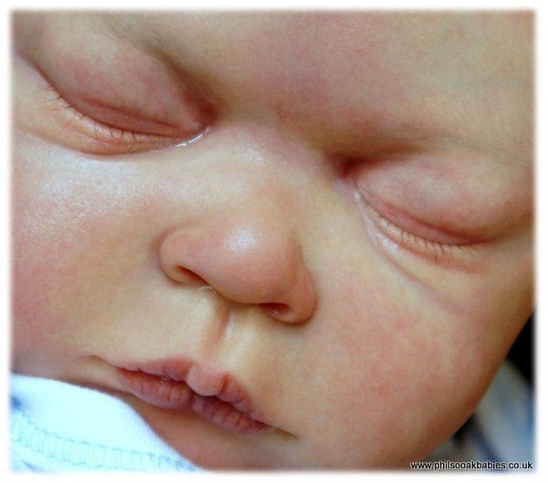 Darren Donnelly Brand New Reborn Doll Kit in Stock