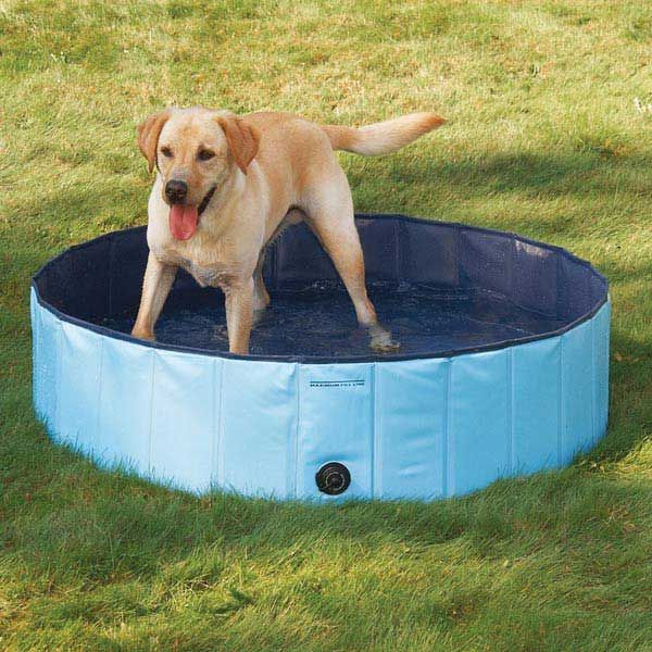 give dogs cooling relief from the heat our dog pools are portable easy