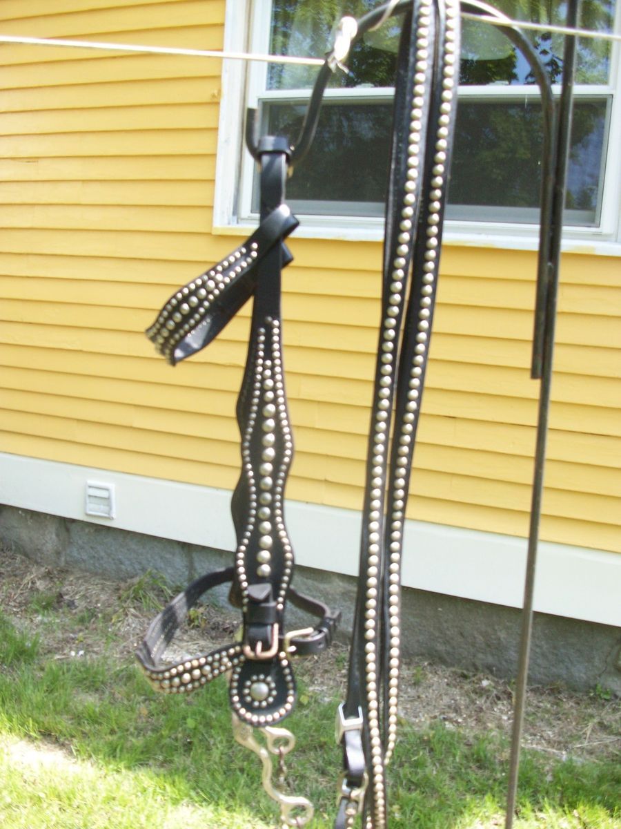 Vintage Western spotted bridle with bit and reins