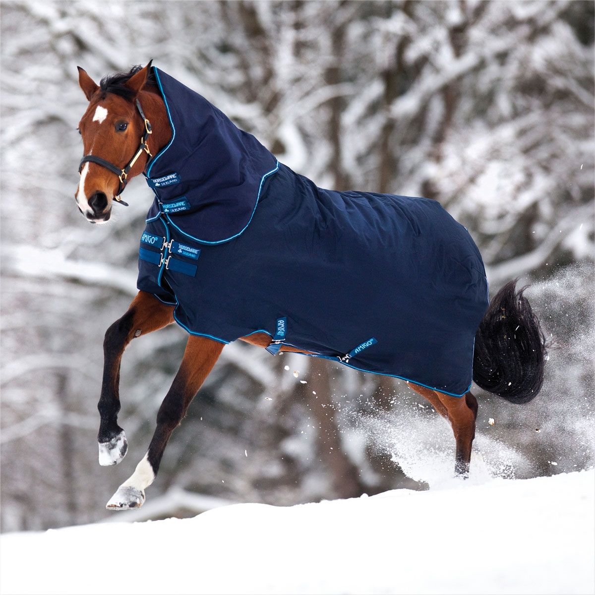 NEW 78 Amigo 1200 D Horse Turnout Lightweight   Navy/Electric Blue